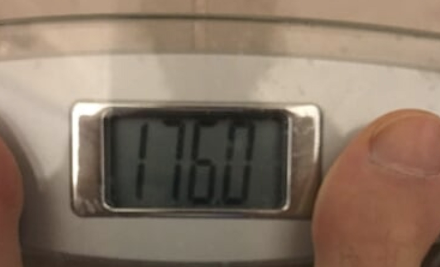 Scale (176.0 lbs)