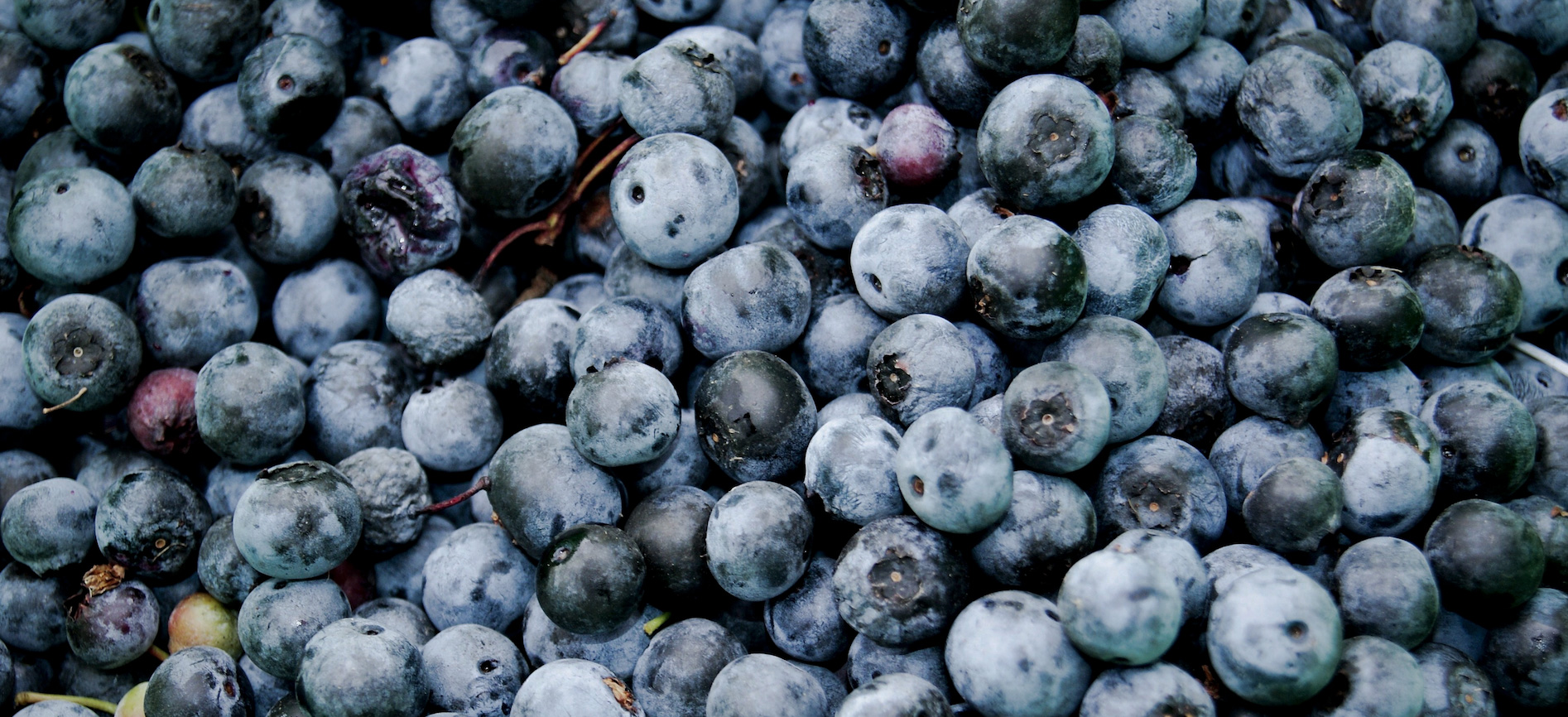 Blueberries