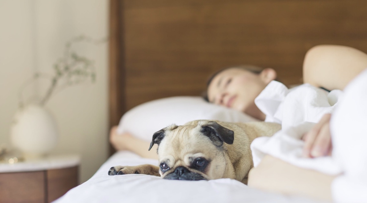 Better sleep habits. Image: Pexels - Burst