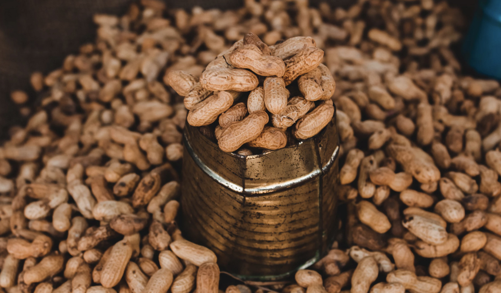 A handful of peanuts 