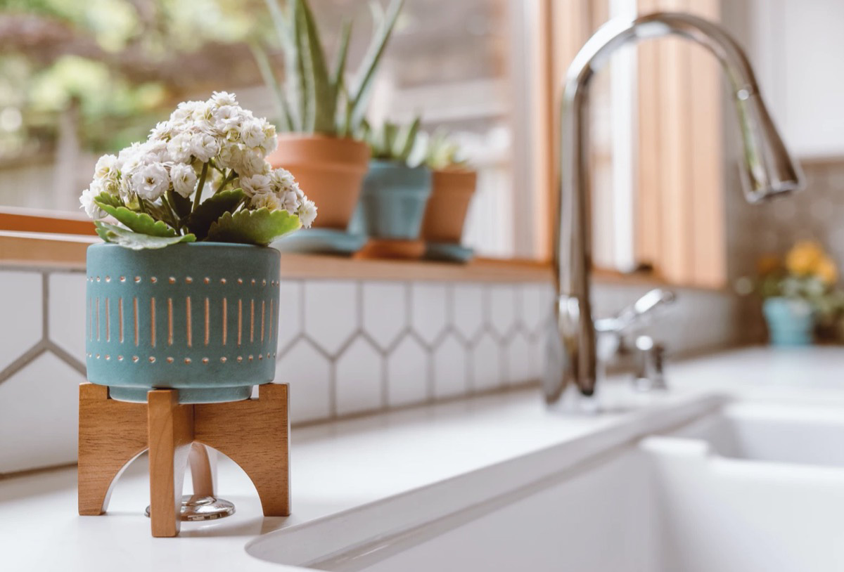 Flower next to the kitchen sink. 