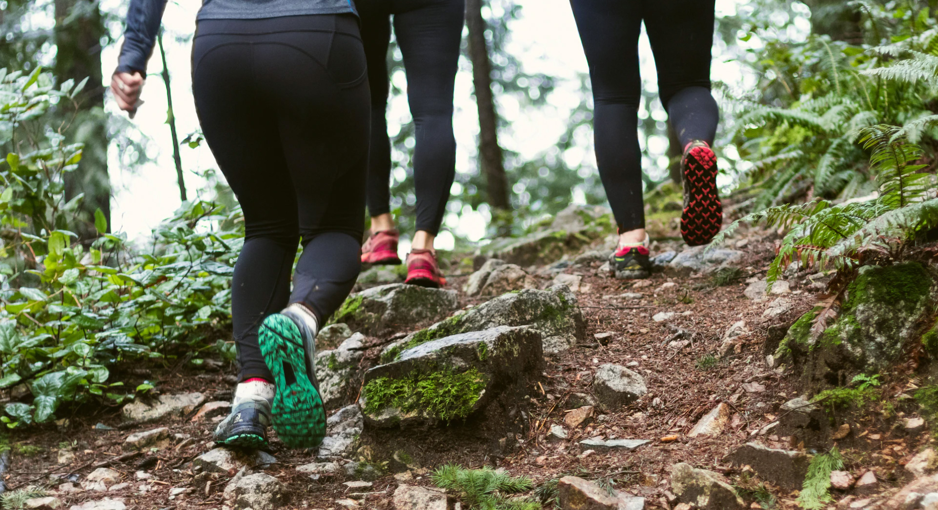 Women hiking in the forest 